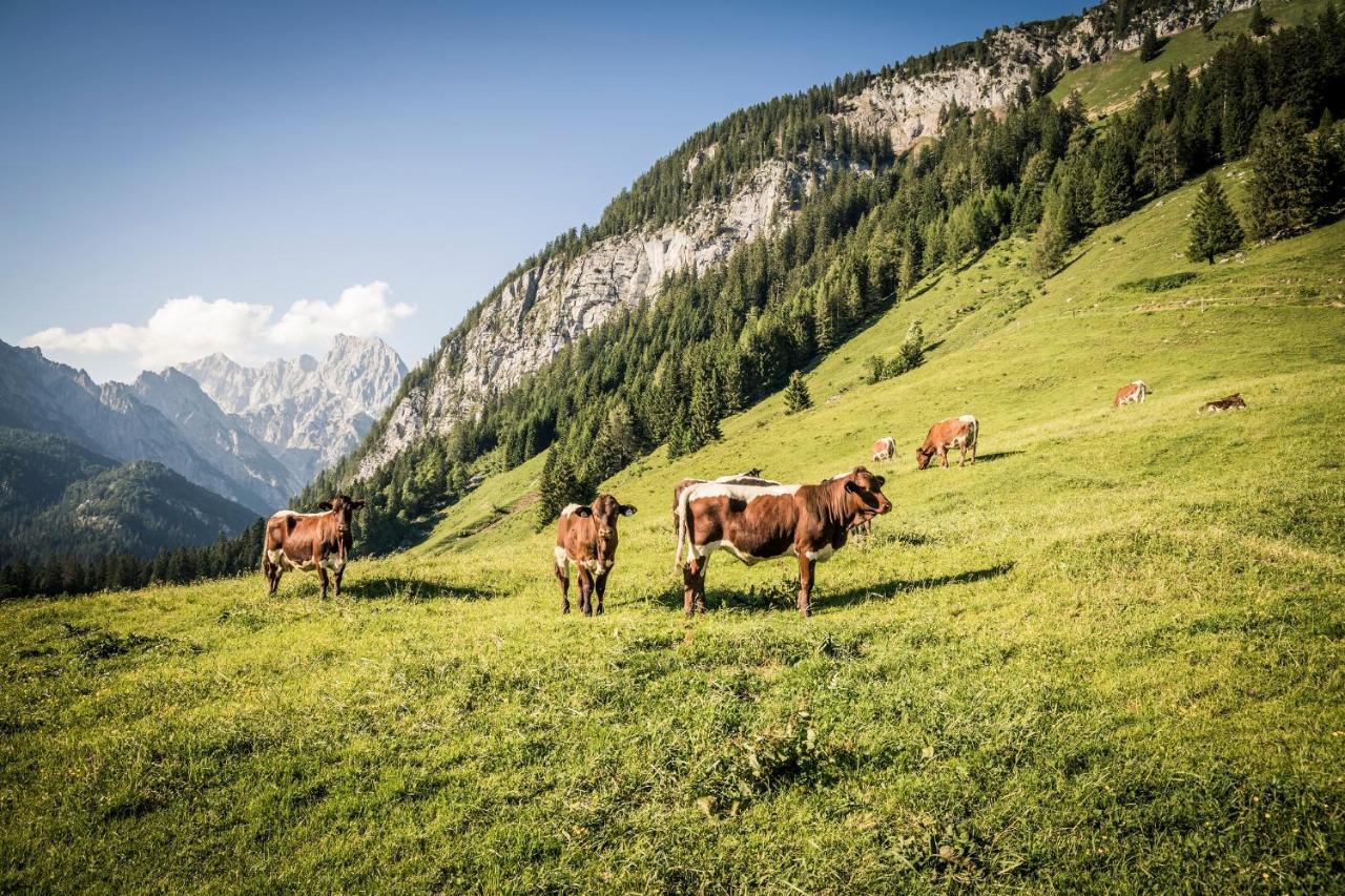 Waldblick - Freundlich Eingerichtete Appartement Berchtesgaden